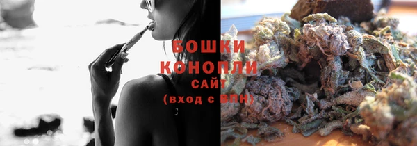 СК Волоколамск