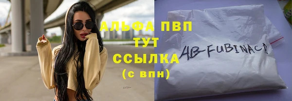 СК Волоколамск