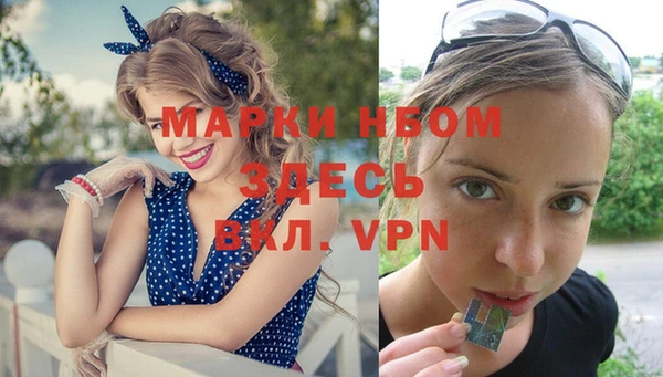 СК Волоколамск